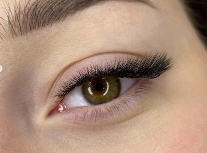 Lovely Professional Lashes "Silicone" Eyelash Extensions - 16 lines pink box L and M curl