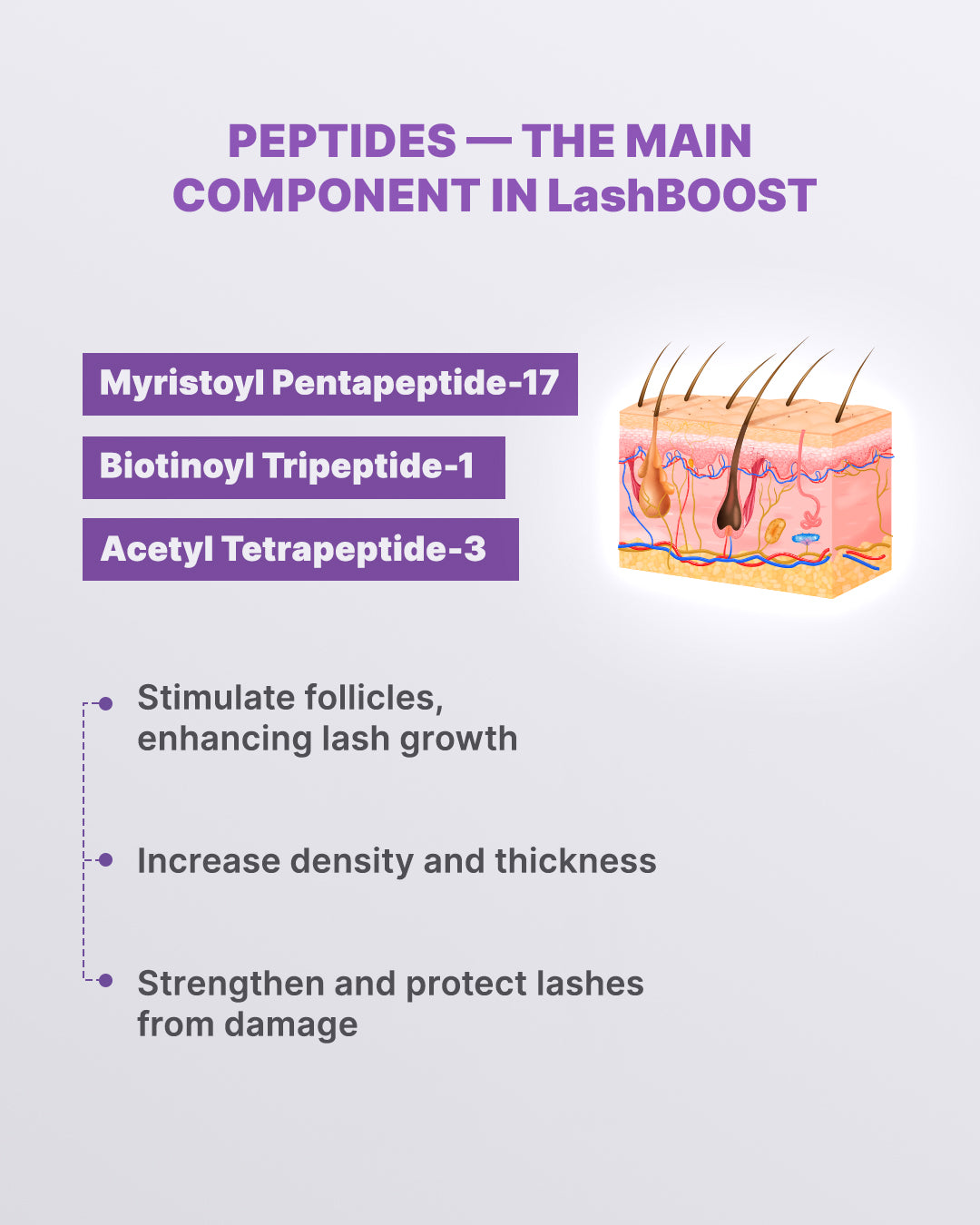 ÉLAN LashBOOST – Sérum Peptides pour la croissance et le renforcement des cils – 4,5 ml