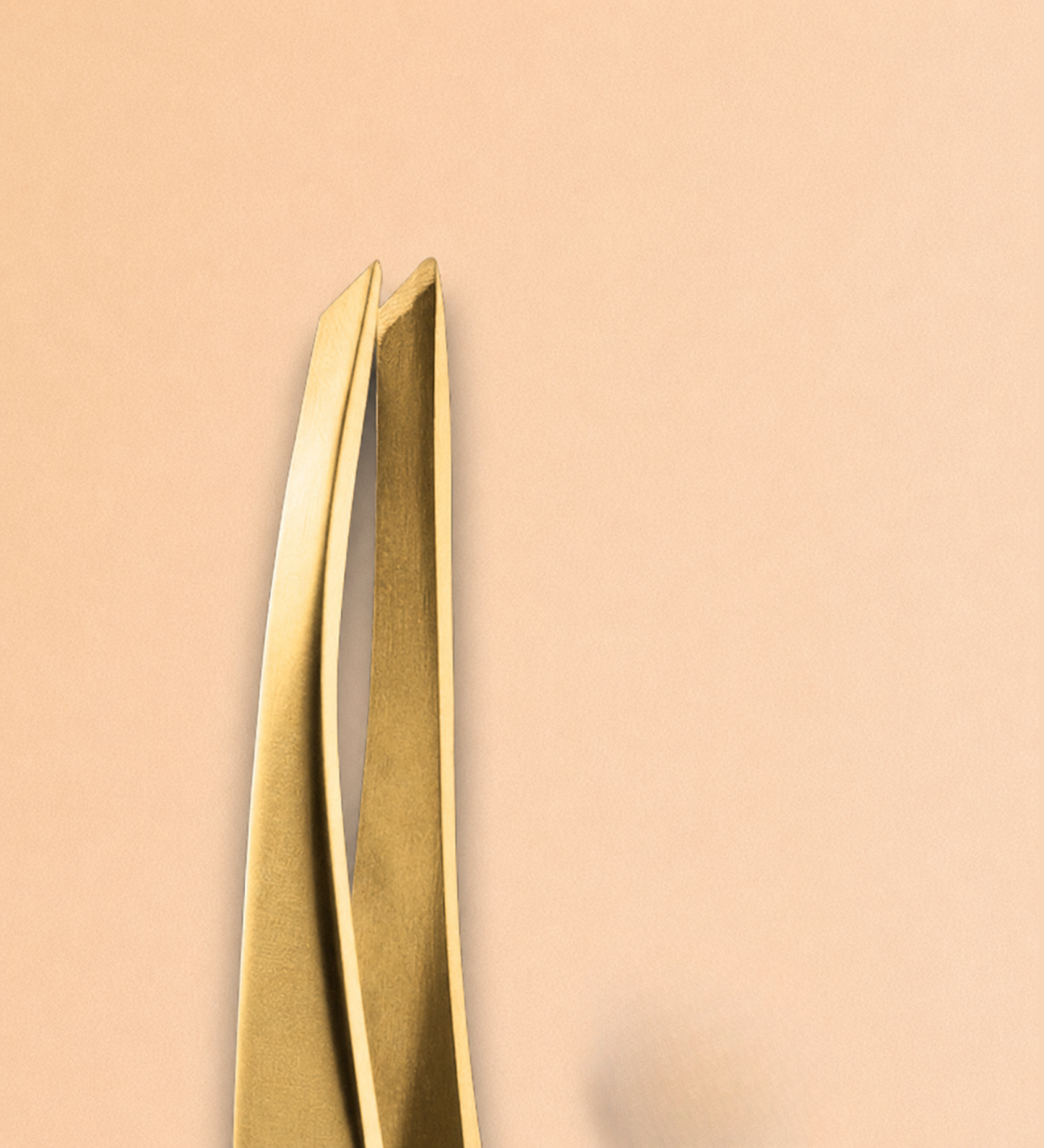 ZOLA Pince à épiler professionnelle – Premium Series