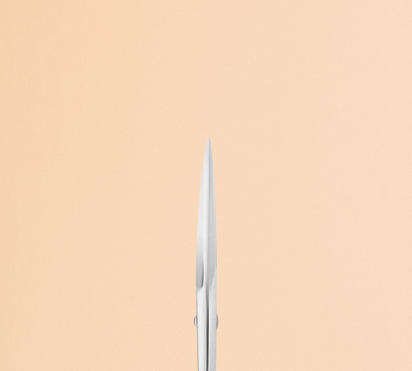 Staleks Expert 30/1 Eyebrow Scissors
