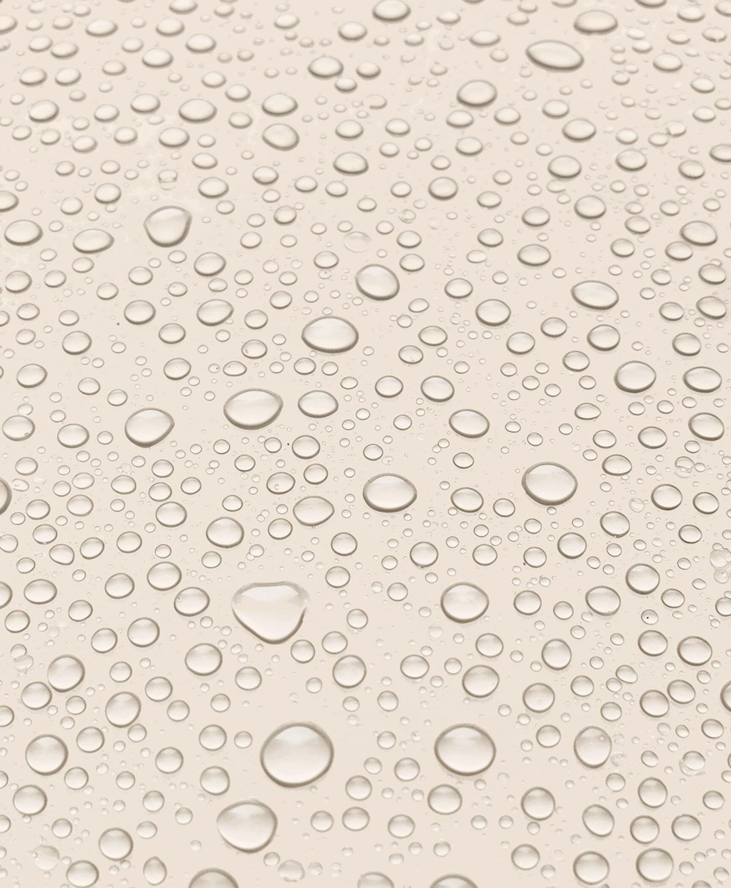 BRONSUN - Primer pour Sourcils MUSC & VANILLE